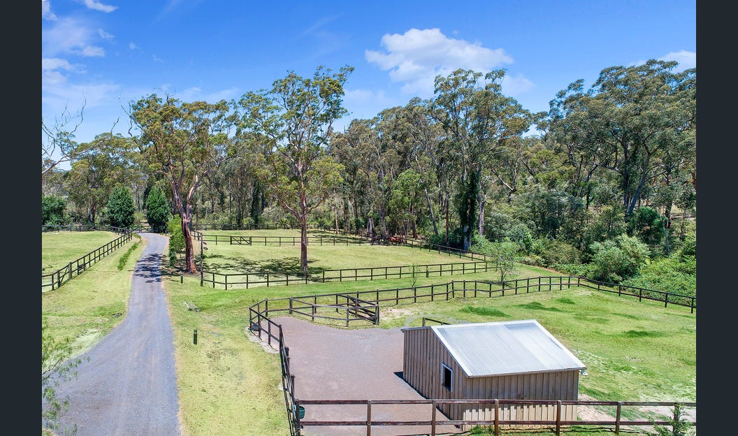 Lush paddocks, gentle hills, and tree-lined space